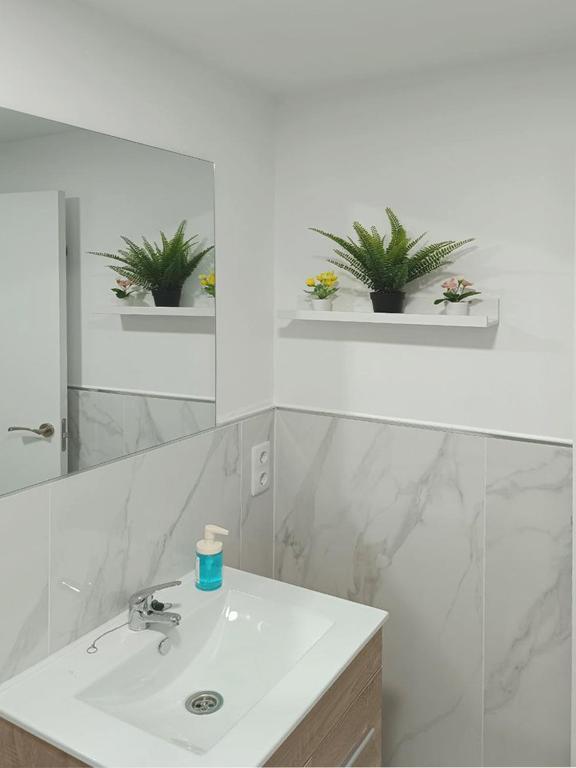 Apartamento Cádiz gran teatro falla deluxe. Baño