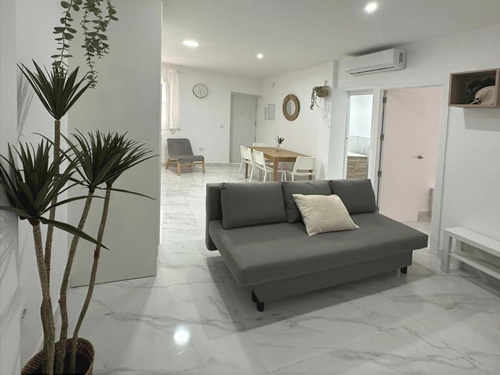 Apartamento Cadiz gran teatro falla. Deluxe. Salon