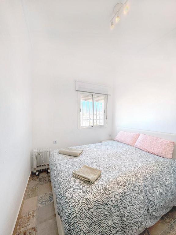 Apartamento gran teatro falla Cadiz